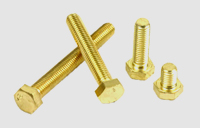 Brass Bolts